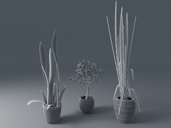 plant interior 3d model - plants collection... by VisuArt3D